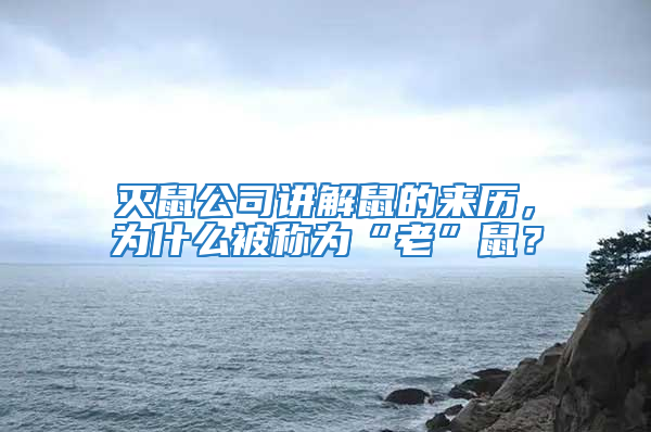 滅鼠公司講解鼠的來歷，為什么被稱為“老”鼠？