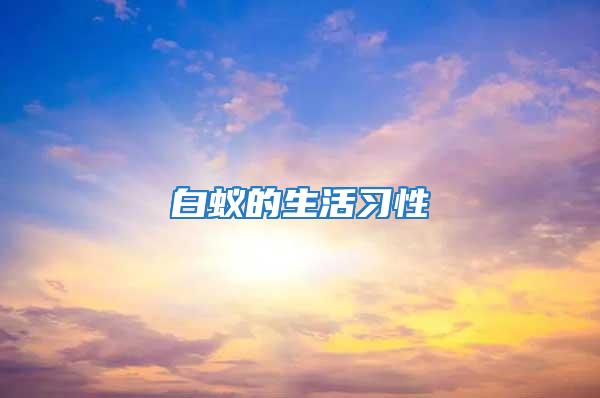白蟻的生活習性