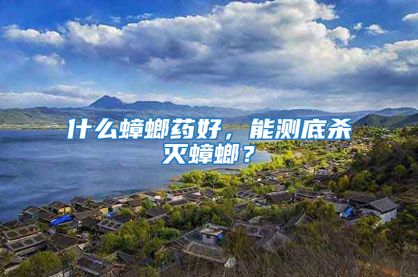 什么蟑螂藥好，能測底殺滅蟑螂？