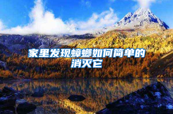 家里發現蟑螂如何簡單的消滅它