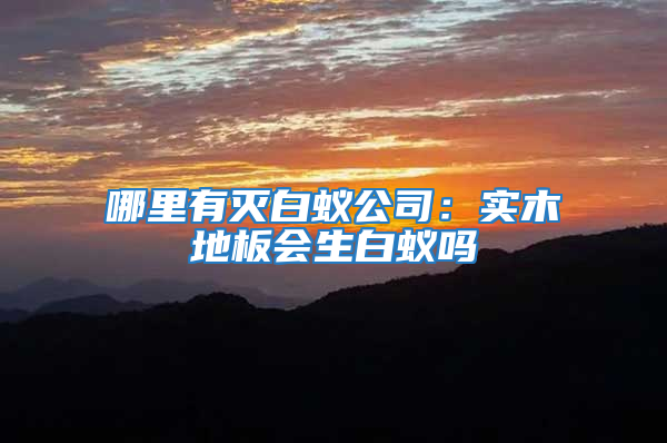 哪里有滅白蟻公司：實木地板會生白蟻嗎