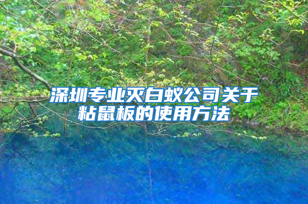 深圳專業滅白蟻公司關于粘鼠板的使用方法