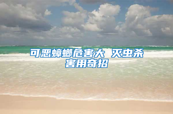 可惡蟑螂危害大 滅蟲殺害用奇招