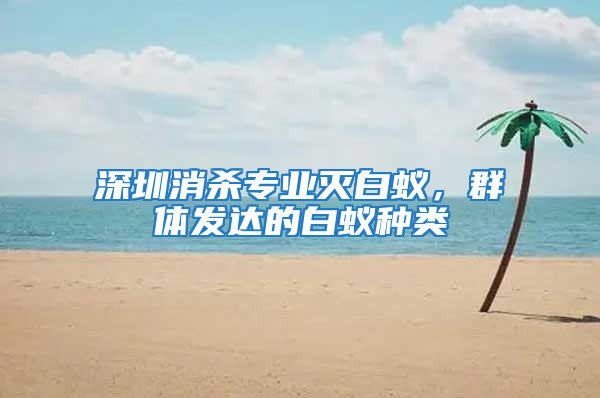 深圳消殺專業滅白蟻，群體發達的白蟻種類