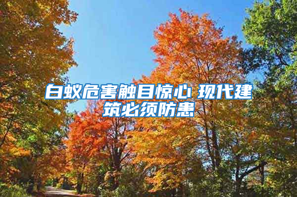 白蟻危害觸目驚心　現代建筑必須防患
