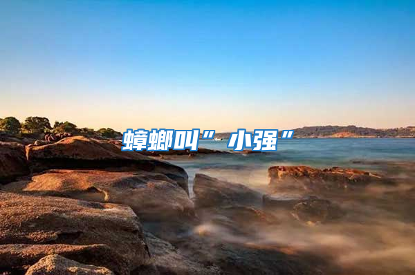 蟑螂叫”小強”