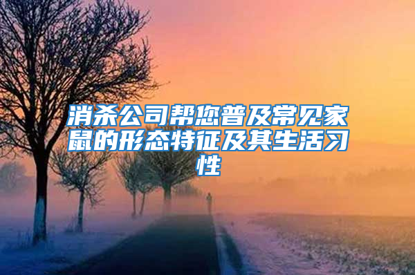 消殺公司幫您普及常見家鼠的形態特征及其生活習性