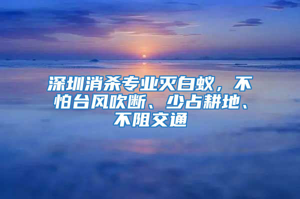 深圳消殺專業(yè)滅白蟻，不怕臺(tái)風(fēng)吹斷、少占耕地、不阻交通