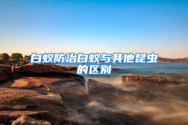 白蟻防治白蟻與其他昆蟲的區別