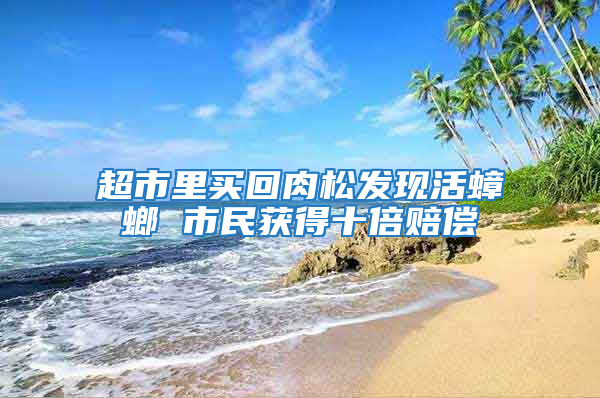 超市里買回肉松發現活蟑螂 市民獲得十倍賠償