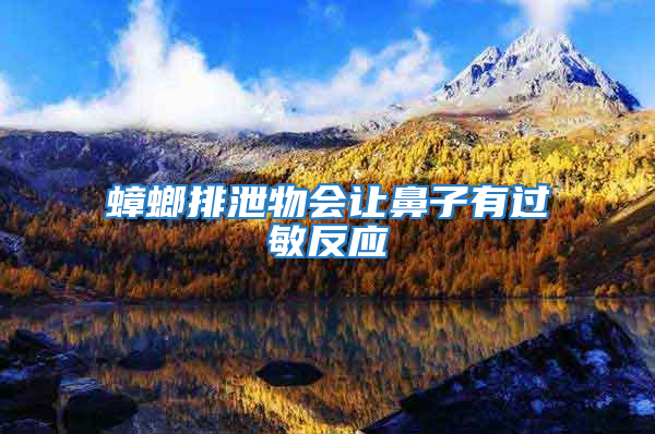 蟑螂排泄物會讓鼻子有過敏反應