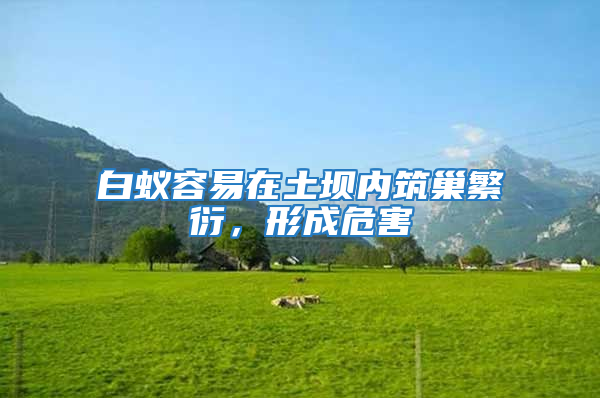白蟻容易在土壩內筑巢繁衍，形成危害