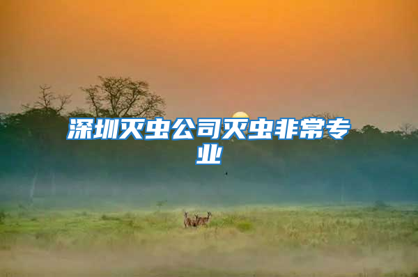 深圳滅蟲公司滅蟲非常專業