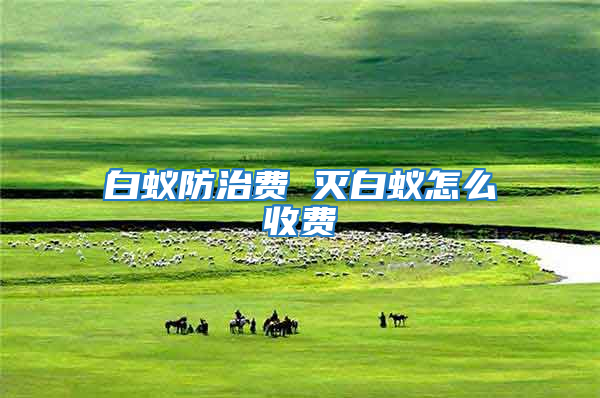 白蟻防治費 滅白蟻怎么收費