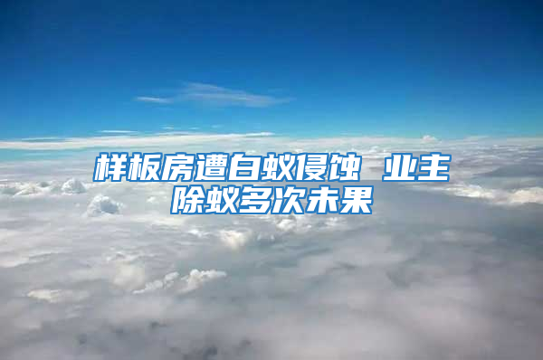 樣板房遭白蟻侵蝕 業主除蟻多次未果