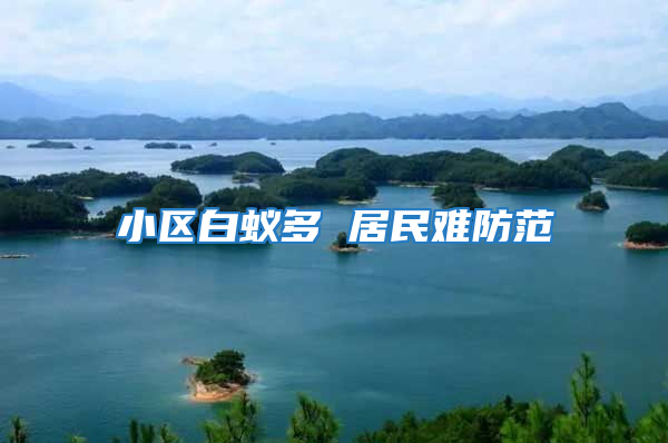 小區白蟻多 居民難防范