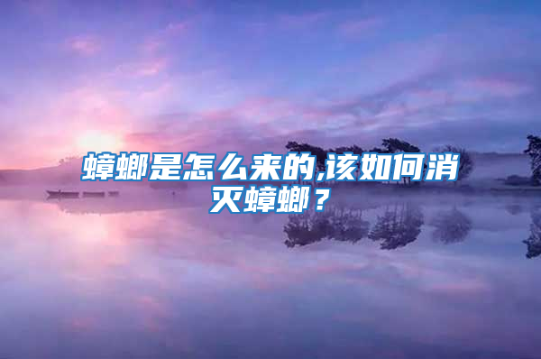 蟑螂是怎么來的,該如何消滅蟑螂？