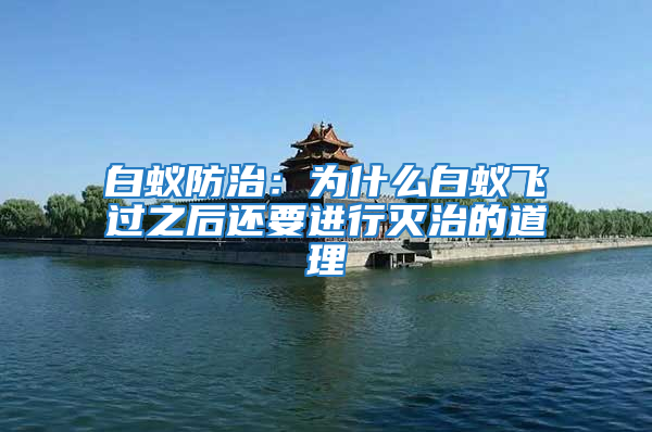 白蟻防治：為什么白蟻飛過之后還要進行滅治的道理