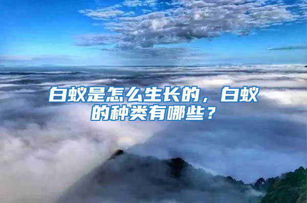 白蟻是怎么生長的，白蟻的種類有哪些？
