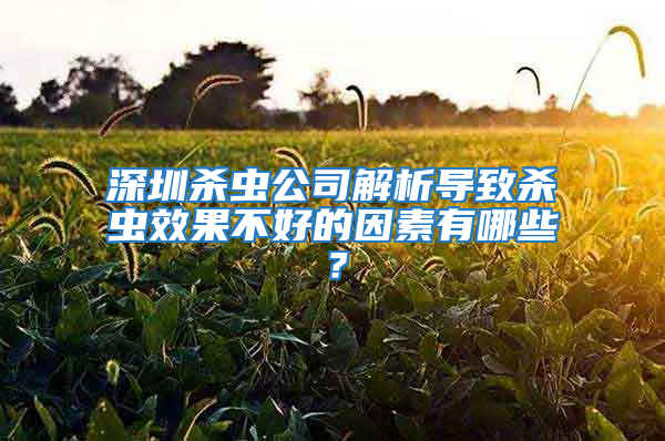 深圳殺蟲公司解析導致殺蟲效果不好的因素有哪些？