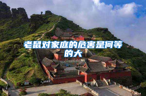 老鼠對家庭的危害是何等的大