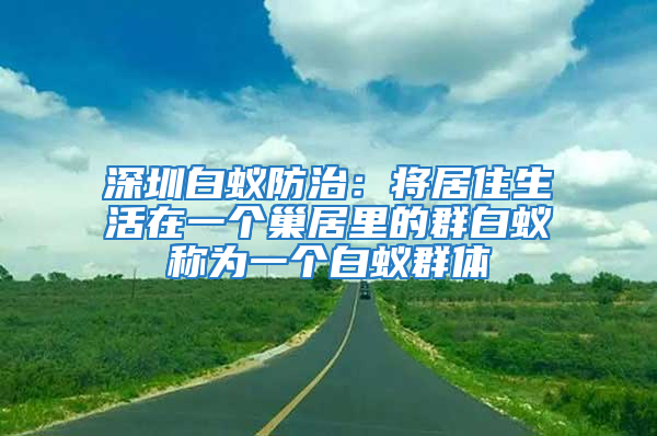 深圳白蟻防治：將居住生活在一個巢居里的群白蟻稱為一個白蟻群體