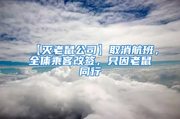 【滅老鼠公司】取消航班，全體乘客改簽，只因老鼠同行