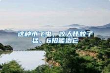 這種小飛蟲，咬人比蚊子猛，6招能治它