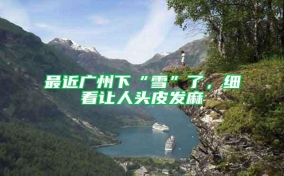 最近廣州下“雪”了，細看讓人頭皮發麻