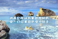 消殺公司認(rèn)為家庭如何防蟲？介紹家庭防蟲小貼士