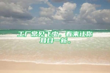 工廠常見飛蟲，看來讓你耳目一新。