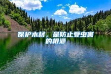 保護(hù)木材，是防止受蟲害的根源