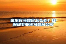 家里有馬蜂窩怎么辦？找深圳專業滅馬蜂窩公司