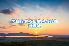學校食堂發現蟲害應該如何解決