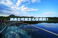 消殺公司是怎么收費的？