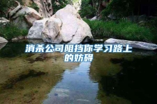 消殺公司阻擋你學習路上的妨礙
